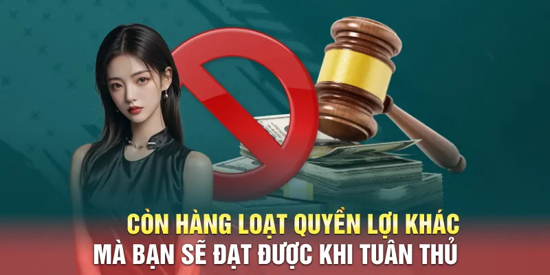 Còn hàng loạt quyền lợi khác mà bạn sẽ đạt được khi tuân thủ